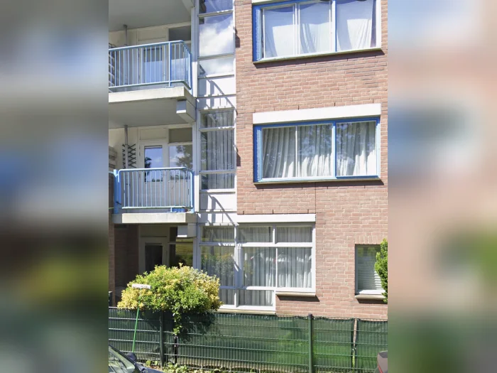Voorbeeldafbeelding 1