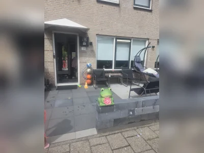 Voorbeeldafbeelding 1