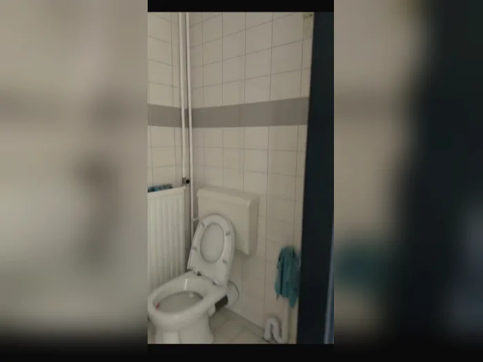 Voorbeeldafbeelding 2