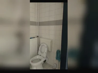 Voorbeeldafbeelding 2