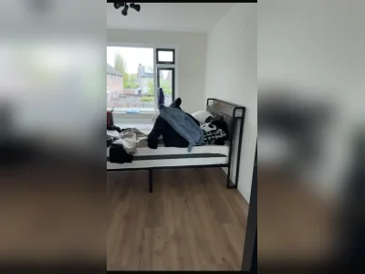 Voorbeeldafbeelding 3