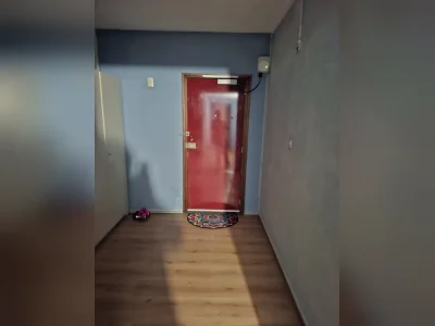 Voorbeeldafbeelding 12