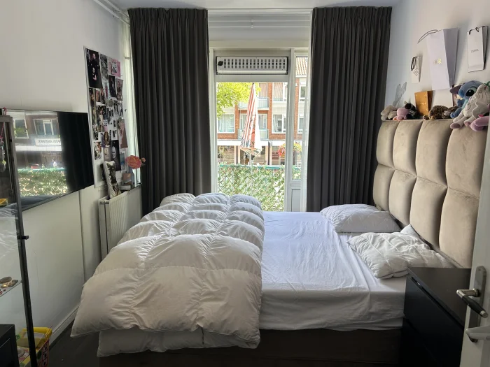 Voorbeeldafbeelding 8