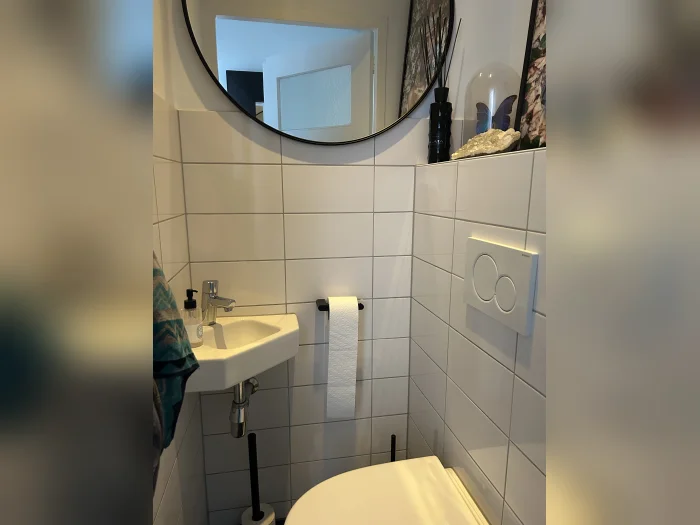 Voorbeeldafbeelding 6