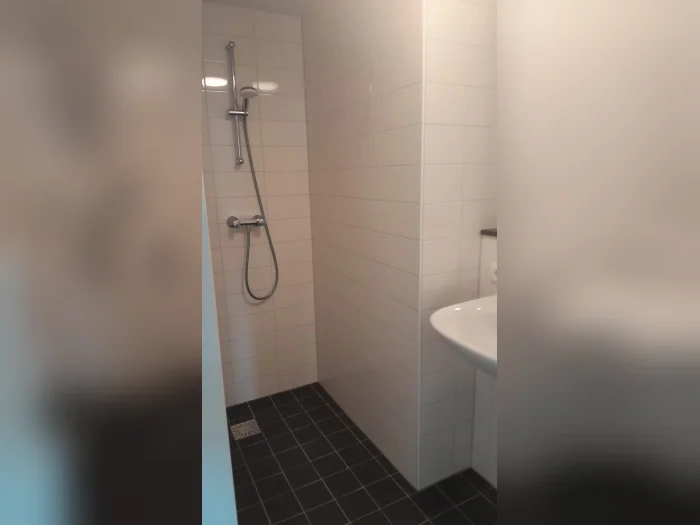 Voorbeeldafbeelding 4