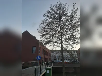Voorbeeldafbeelding 4