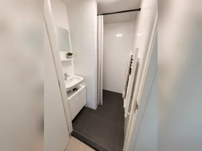 Voorbeeldafbeelding 3