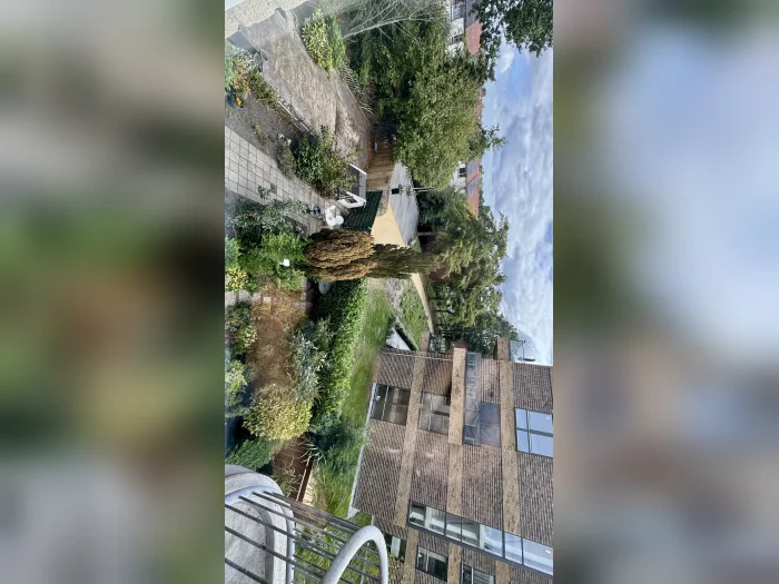 Voorbeeldafbeelding 14
