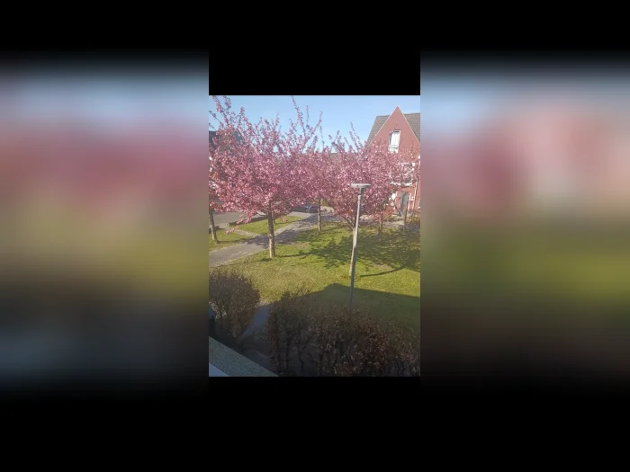 Voorbeeldafbeelding 19