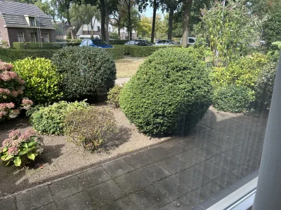 Voorbeeldafbeelding 12