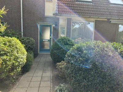 Voorbeeldafbeelding 2