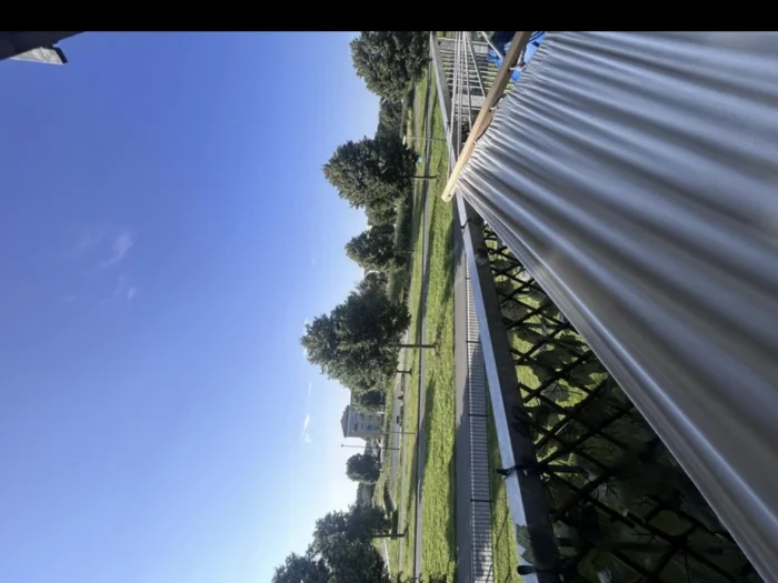 Voorbeeldafbeelding 8