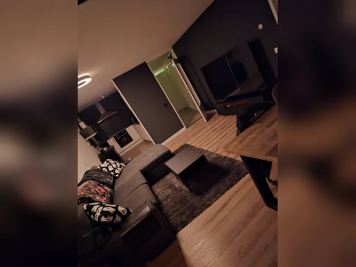 Voorbeeldafbeelding 3