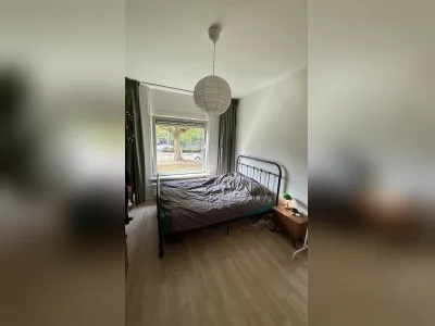 Voorbeeldafbeelding 8