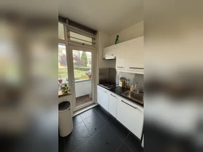 Voorbeeldafbeelding 11