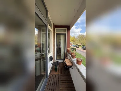 Voorbeeldafbeelding 12