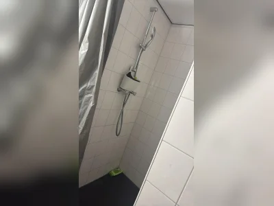 Voorbeeldafbeelding 2