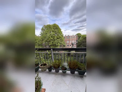 Voorbeeldafbeelding 4