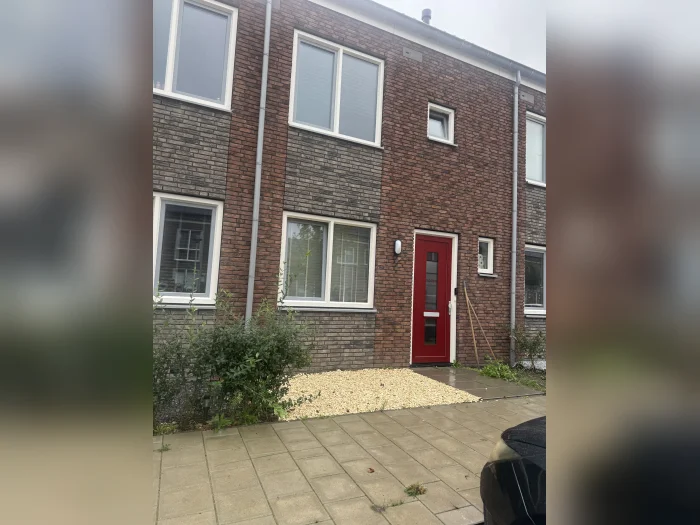 Voorbeeldafbeelding 1