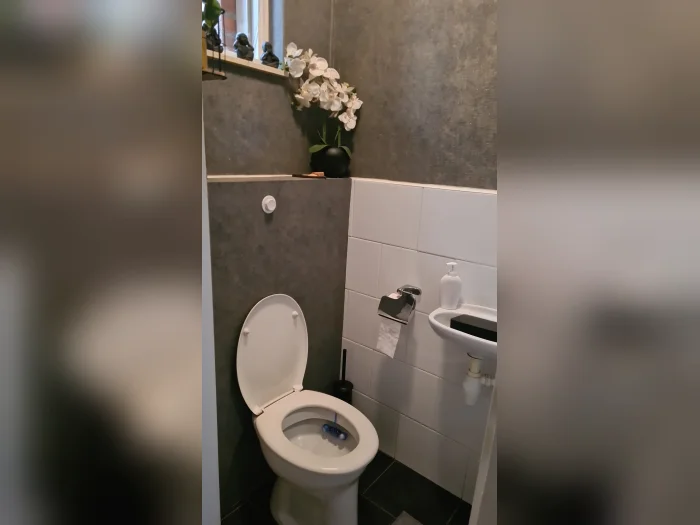 Voorbeeldafbeelding 2