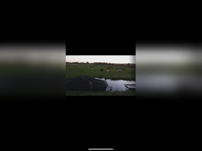 Voorbeeldafbeelding 1
