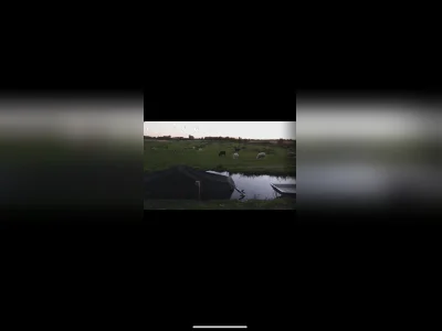Voorbeeldafbeelding 1