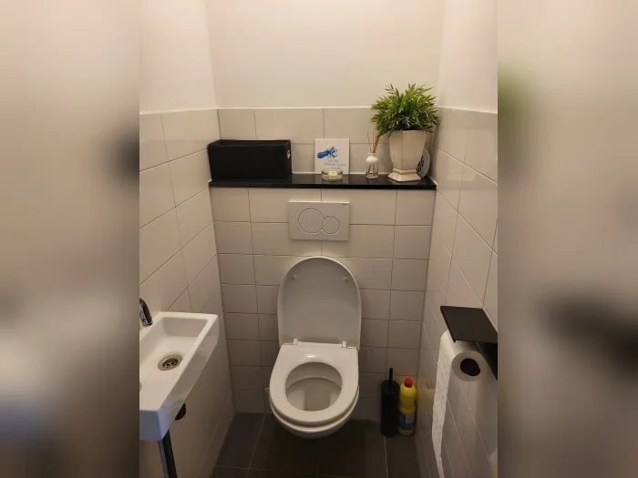 Voorbeeldafbeelding 2