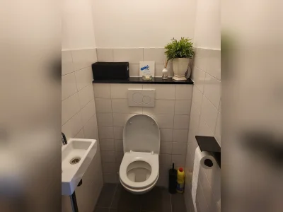Voorbeeldafbeelding 2