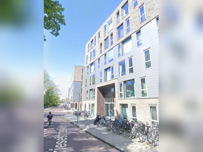 Voorbeeldafbeelding 1