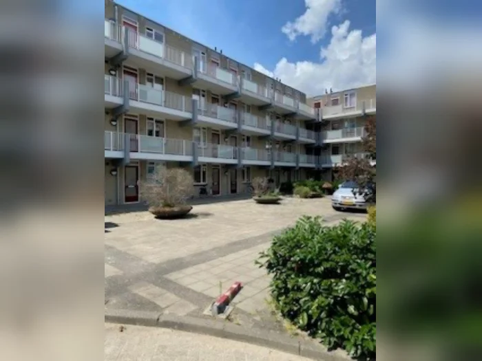 Voorbeeldafbeelding 1