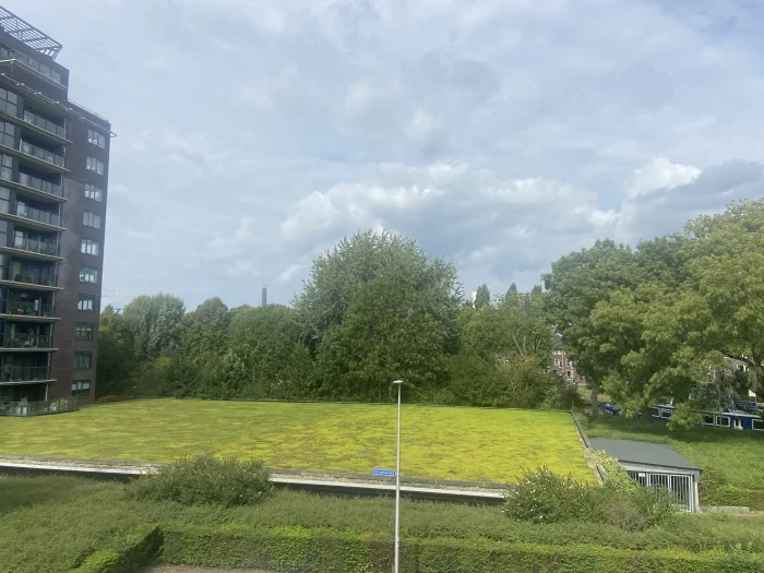 Voorbeeldafbeelding 2