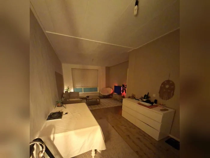 Voorbeeldafbeelding 2
