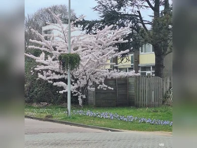 2kamer woning mt tuin 10 bij 4.5 meter eigen gratis parkeer