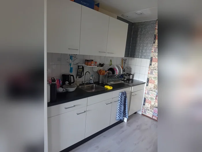 Voorbeeldafbeelding 2