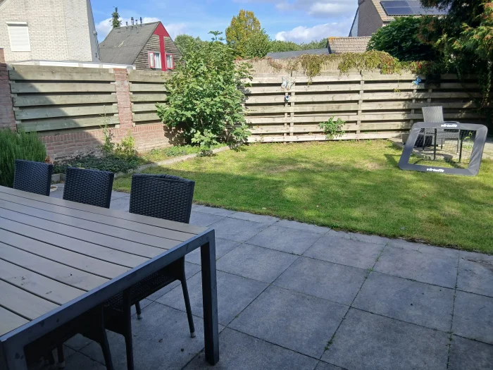 Voorbeeldafbeelding 3