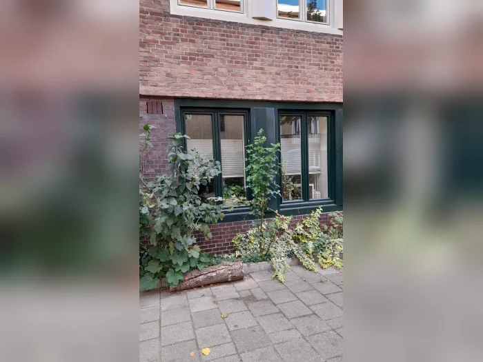 Voorbeeldafbeelding 2
