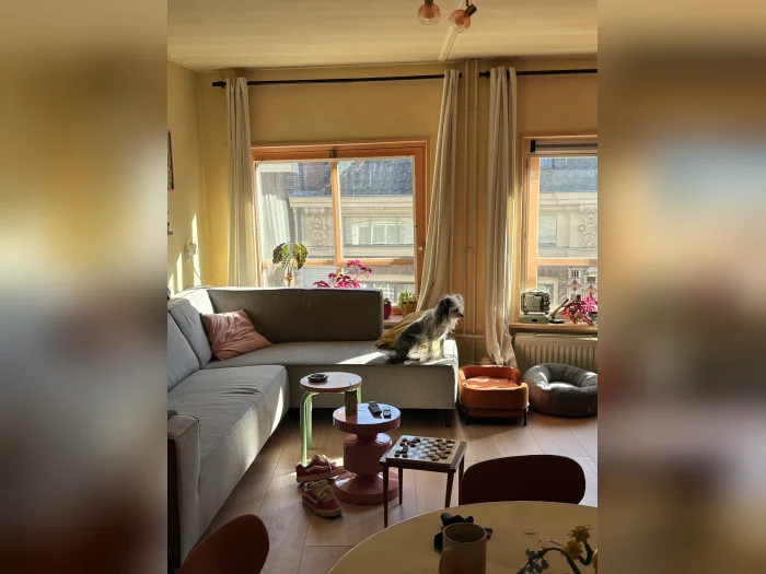 Voorbeeldafbeelding 1