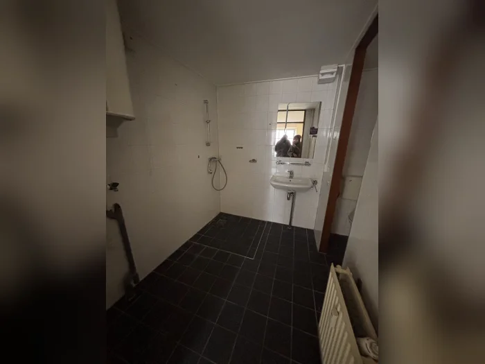 Voorbeeldafbeelding 3