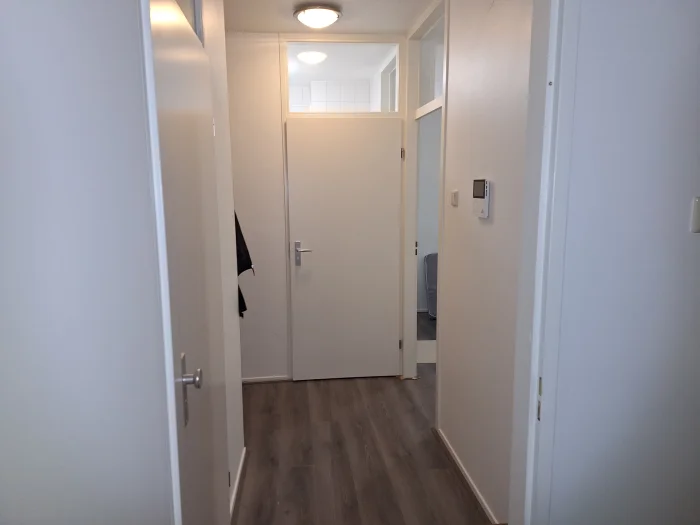 Voorbeeldafbeelding 2