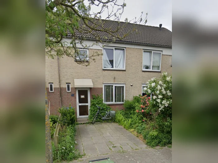 Voorbeeldafbeelding 1