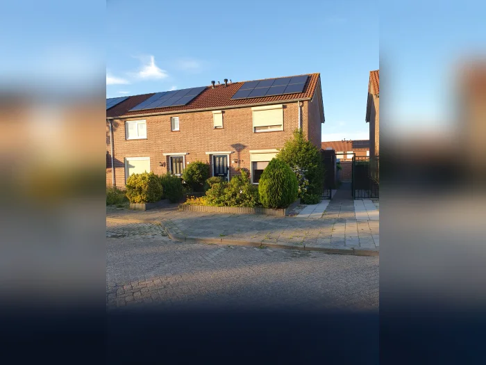 Voorbeeldafbeelding 1