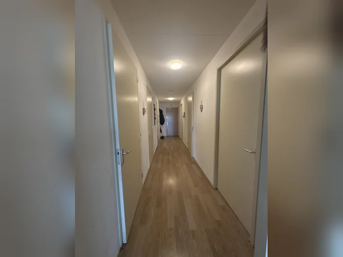 Voorbeeldafbeelding 3